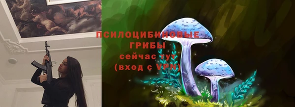 гидропоника Богородск
