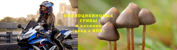 гидропоника Богородск