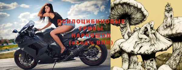 ПСИЛОЦИБИНОВЫЕ ГРИБЫ Богородицк