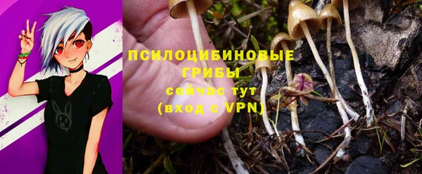 альфа пвп Бугульма