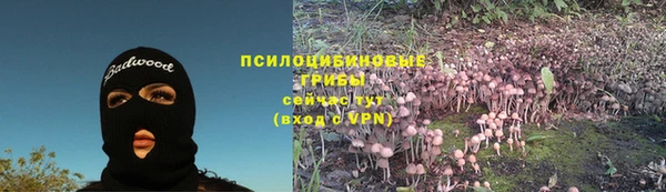 гидропоника Богородск