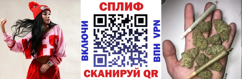 Бошки Шишки Amnesia  Костомукша 